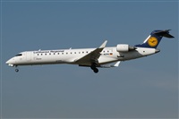 Rodrigo Carvalho - Noisy Spotters. Click to see full size photo