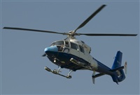 Luciano de la Rosa Gutirrez (Tenerife) Canary Islands Spotting. Click to see full size photo