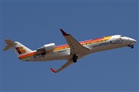 Ayoze Santana Mendez - Canary Islands Spotting. Click to see full size photo