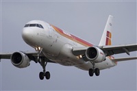 Jos Miguel Bernases - Noisy Spotters. Click to see full size photo