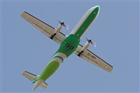 Gerardo A. Prez   Canary Islands Spotting. Click to see full size photo