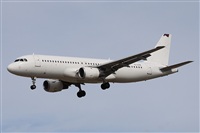 Alfonso Sols - Asociacin Canary Islands Spotting. Haz click para ampliar