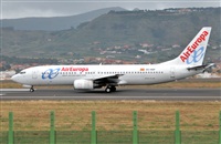 Šangel canary. Click to see full size photo Šangel canary. Click to see full size photo