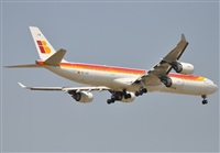 Rubn Gil - Noisy Spotters. Click to see full size photo