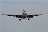 Rodrigo Carvalho - Noisy Spotters. Click to see full size photo