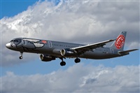 Javier de la Cruz - CANARY ISLANDS SPOTTING. Click to see full size photo