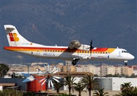 ©Javier Rodríguez. Click to see full size photo ©Javier Rodríguez. Click to see full size photo