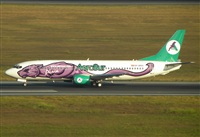 Fabio Duarte - Manaus Spotting Team. Click to see full size photo
