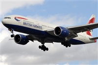 Rubn Gil - Noisy Spotters. Click to see full size photo