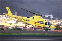 Javier de la Cruz - CANARY ISLANDS SPOTTING. Click to see full size photo