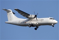 Jos Miguel Bernases - Noisy Spotters. Click to see full size photo