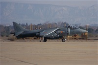ragoval. Click to see full size photo