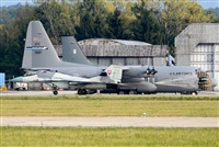 Tams. Click to see full size photo