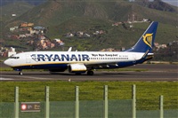 Ayoze Santana Mendez - Canary Islands Spotting. Click to see full size photo