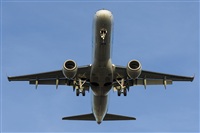 Ramon Jordi. Click to see full size photo