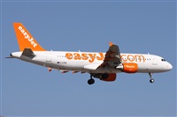 Alfonso Sols - Asociacin Canary Islands Spotting. Haz click para ampliar