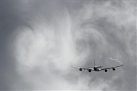 Ricardo Sanabria - AIRE.org. Click to see full size photo