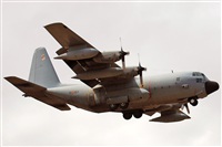 J. Victor Vega-Gran Canaria Spotters. Click to see full size photo