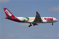 Miguel Alia - Noisy Spotters. Click to see full size photo