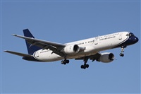 ©Alfonso Solís - Asociación Canary Islands Spotting. Click to see full size photo ©Alfonso Solís - Asociación Canary Islands Spotting. Click to see full size photo