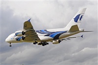 Miguel A. gueda Rguez.  (CANARY ISLANDS SPOTTING). Haz click para ampliar