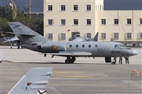 ©Alfonso Solís - Asociación Canary Islands Spotting. Click to see full size photo ©Alfonso Solís - Asociación Canary Islands Spotting. Click to see full size photo