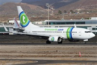 Alfonso Sols - Asociacin Canary Islands Spotting. Click to see full size photo