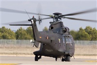 David Manuel Tobarra Ruiz - Spotters Murcia. Click to see full size photo