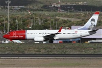 ©Alfonso Solís - Asociación Canary Islands Spotting. Click to see full size photo ©Alfonso Solís - Asociación Canary Islands Spotting. Click to see full size photo