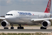 Miguel Alia - Noisy Spotters. Click to see full size photo