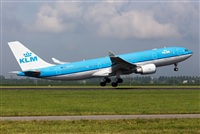 Miguel Alia - Noisy Spotters. Click to see full size photo