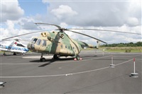 Alfonso Sols - Asociacin Canary Islands Spotting. Click to see full size photo