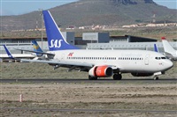 Alfonso Sols - Asociacin Canary Islands Spotting. Click to see full size photo