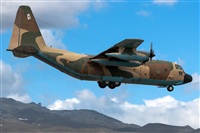 Bartolom Fernndez - Gran Canaria Spotters. Click to see full size photo