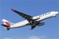 Rubn Gil - Noisy Spotters. Click to see full size photo