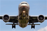Javier de la Cruz - CANARY ISLANDS SPOTTING. Click to see full size photo