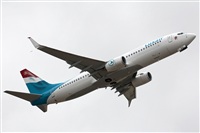 Adrin Alonso Lemes - Lanzarote Spotters. Haz click para ampliar