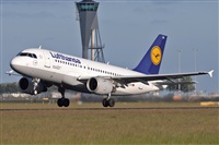 Miguel A. gueda Rguez.  (CANARY ISLANDS SPOTTING). Click to see full size photo