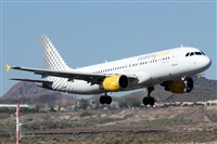 Alfonso Sols - Asociacin Canary Islands Spotting. Haz click para ampliar