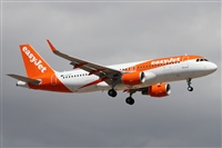 ©Alfonso Solís - Asociación Canary Islands Spotting. Click to see full size photo ©Alfonso Solís - Asociación Canary Islands Spotting. Click to see full size photo