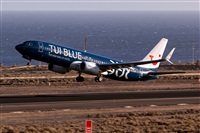 Javier de la Cruz - CANARY ISLANDS SPOTTING. Click to see full size photo