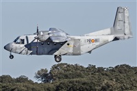 JFMAYORAL - Arispotters.Org / Aire.Org. Click to see full size photo