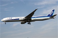 Alfonso Sols - Asociacin Canary Islands Spotting. Click to see full size photo