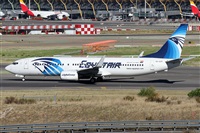 ©Alfonso Solís - Asociación Canary Islands Spotting. Click to see full size photo ©Alfonso Solís - Asociación Canary Islands Spotting. Click to see full size photo