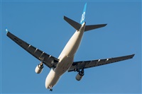 Naoto Goto - South American Spotters Asu-Py. Click to see full size photo