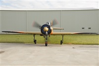 EC-ISM. Click to see full size photo