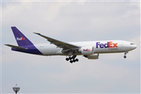 Miguel A. gueda Rguez.  (CANARY ISLANDS SPOTTING). Click to see full size photo