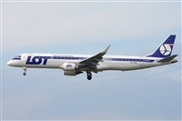 Miguel A. gueda Rguez.  (CANARY ISLANDS SPOTTING). Click to see full size photo