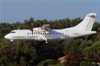 Miguel A. gueda Rguez.  (CANARY ISLANDS SPOTTING). Click to see full size photo
