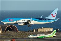 ©Adolfo Bento - Gran Canaria Spotters. Click to see full size photo ©Adolfo Bento - Gran Canaria Spotters. Click to see full size photo
